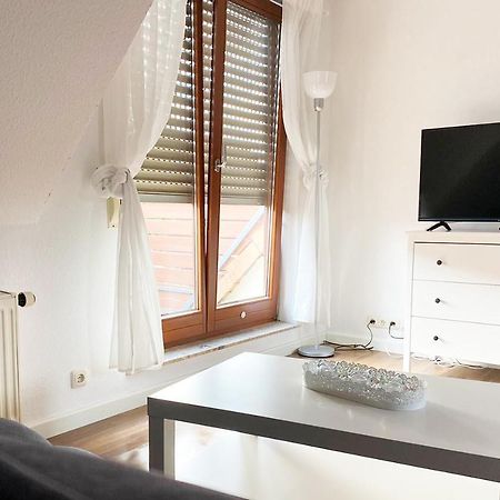 Schoenes 1 Zimmer Apartment Mit Dachterrasse Глаухау Екстериор снимка