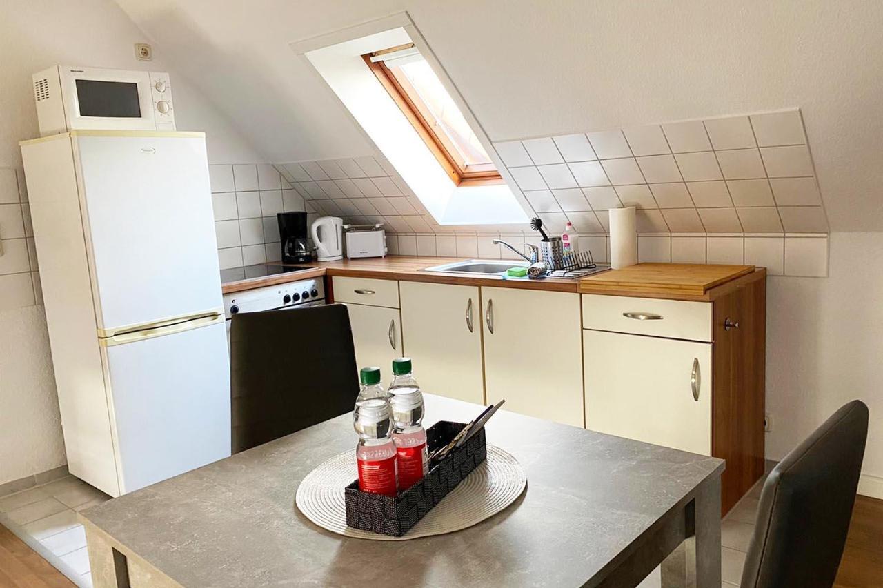 Schoenes 1 Zimmer Apartment Mit Dachterrasse Глаухау Екстериор снимка